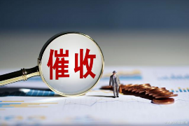 安图融资清欠服务